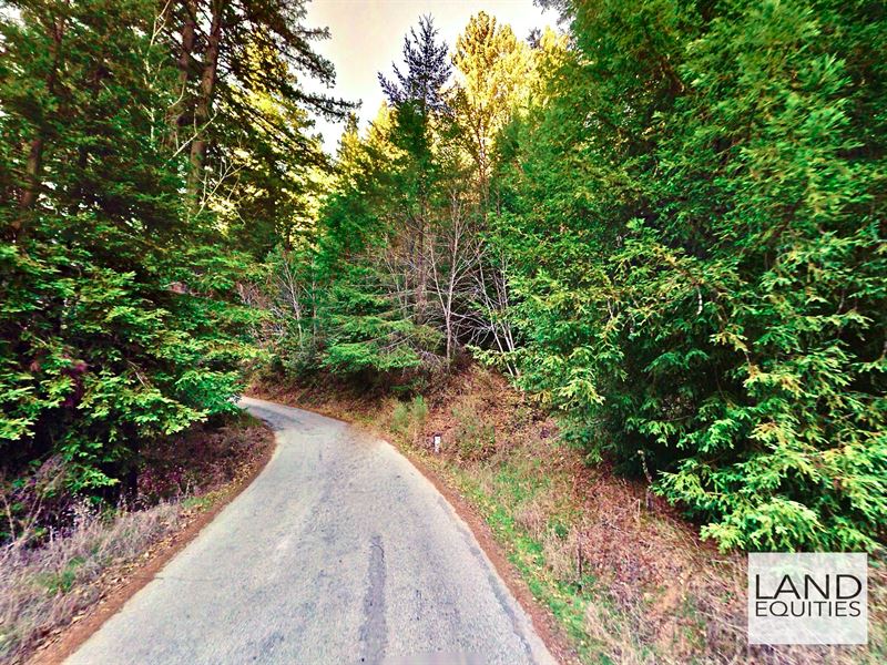 Your Private Lot in The Redwoods : Ben Lomond : Santa Cruz County : California