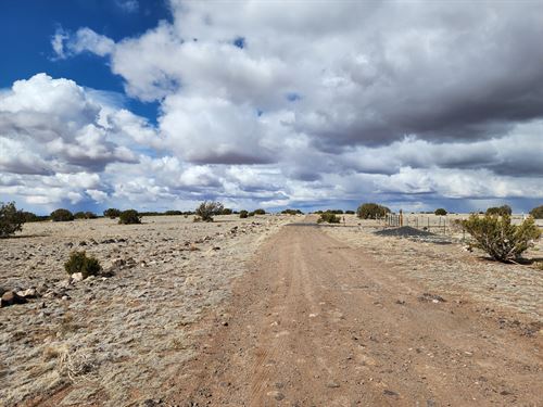 Room To Roam and Room To Breathe : Concho : Apache County : Arizona