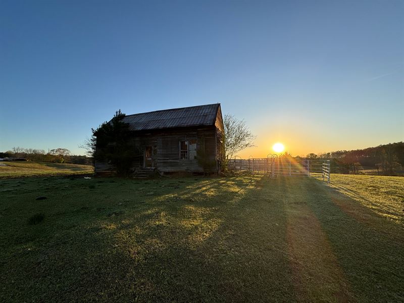 89 Acres with Pasture, Pond, Str : Roanoke : Chambers County : Alabama