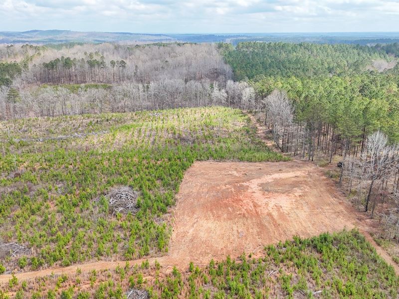 44 Acres in Chambers County, AL : Lafayette : Chambers County : Alabama