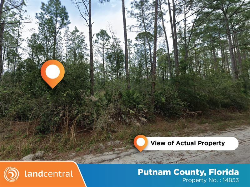 Gorgeous Wooded Property in FL : Interlachen-Florahome : Putnam County : Florida