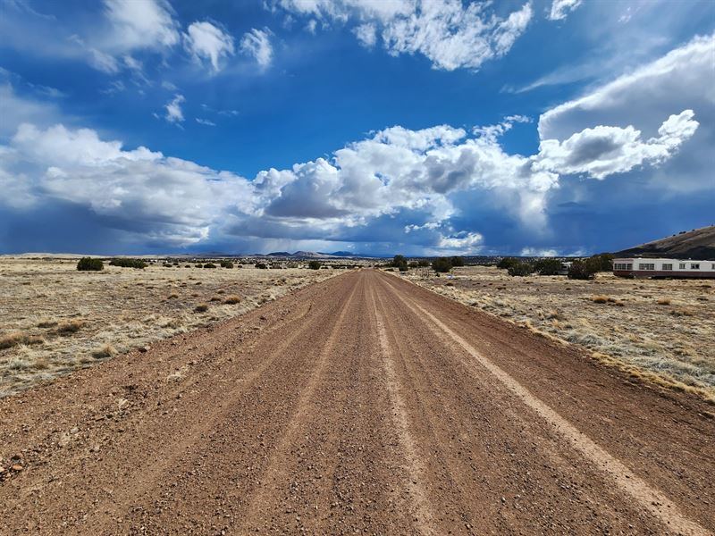 Wide Open Land Finally Within Reach : Concho : Apache County : Arizona