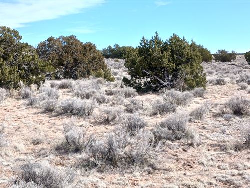 Stop Watching Markets, Buy Land : Sanders : Apache County : Arizona
