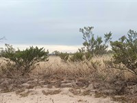 No Zoning in Texas, 11.4 Ac Ranch : Salt Flat : Culberson County : Texas