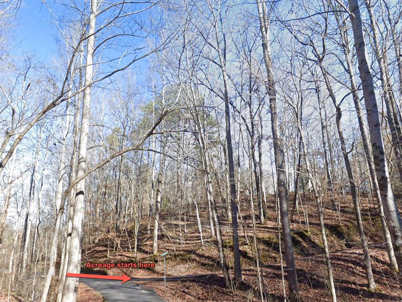 Build 2 Cabins Mins to Dollywood : Sevierville : Sevier County : Tennessee