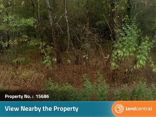 A Beautiful Lot in Liberty, TX : Liberty : Texas