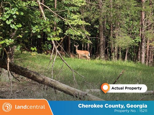.39 Acre Just Min From The Water : Waleska : Cherokee County : Georgia