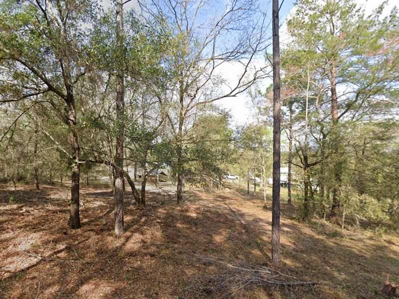 Spring Sale Blowout $49 Down : Interlachen : Putnam County : Florida