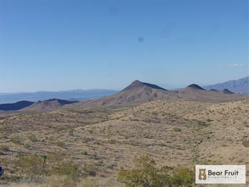 Hillside Paradise for Just $150/Mo : Temple Bar Marina : Mohave County : Arizona