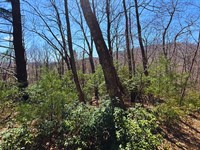 1.08 Acres Ashe County NC Peace : West Jefferson : Ashe County : North Carolina
