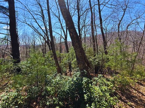 1.08 Acres Ashe County NC Peace : West Jefferson : Ashe County : North Carolina