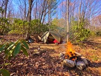 1.08 Acres Ashe County NC Peace : West Jefferson : Ashe County : North Carolina