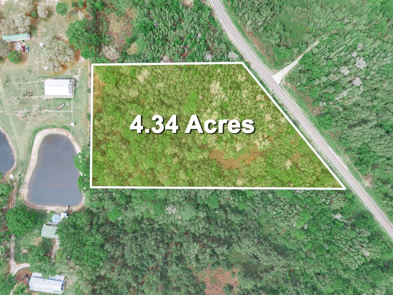 Timberlane Road 4.34 Acres : Lake Wales : Polk County : Florida