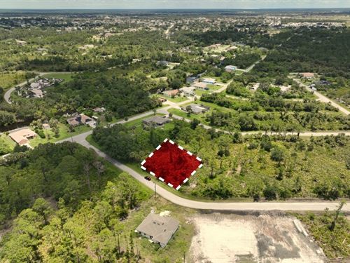 Close to Charlotte Harbor : Port Charlotte : Charlotte County : Florida