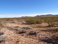 Stop Dreaming, Start Owning : Golden Valley : Mohave County : Arizona