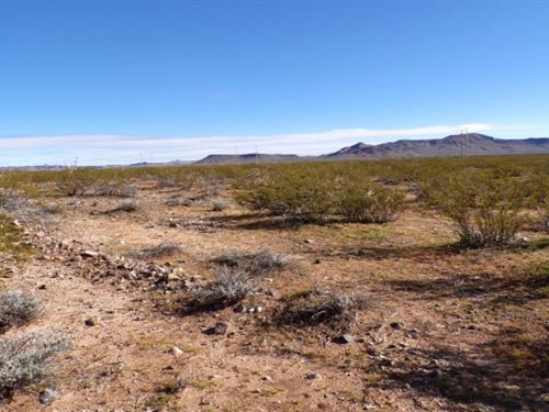 Stop Dreaming, Start Owning : Golden Valley : Mohave County : Arizona