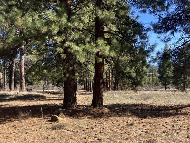 Well and Septic in : Chiloquin : Klamath County : Oregon