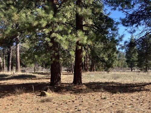 Well and Septic in : Chiloquin : Klamath County : Oregon