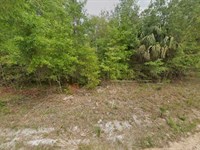 Lake Camping Lot FL $199/Mo : Satsuma : Putnam County : Florida
