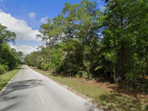 Quiet Paved Access $265/Mo : Satsuma : Putnam County : Florida