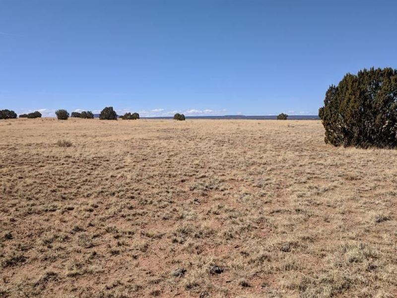 Simple Living Starts Here : Concho : Apache County : Arizona