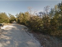 Quiet Lake Area FL Lot $195/Mo : Interlachen : Putnam County : Florida
