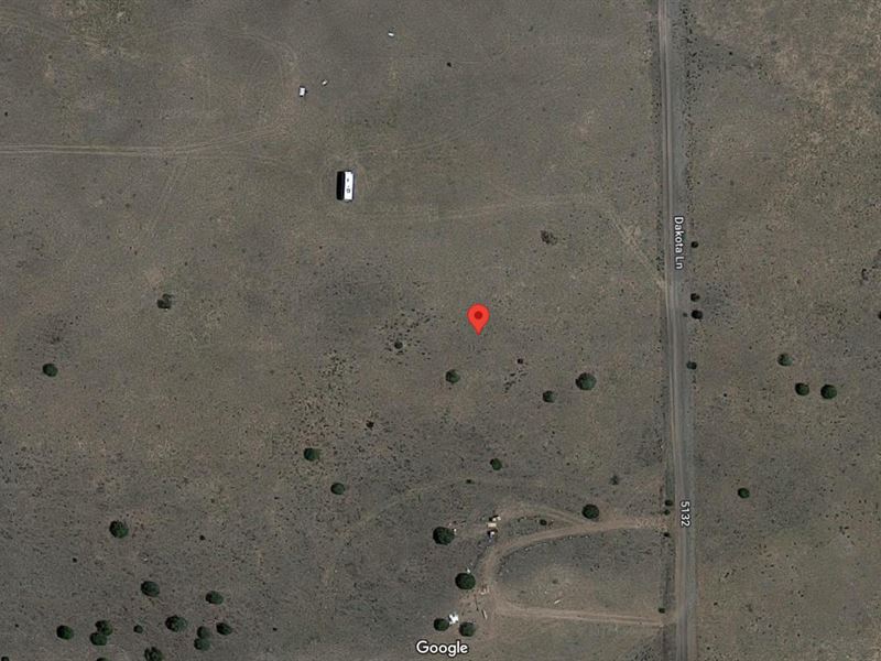 From City Stress to Desert Rest : Concho : Apache County : Arizona