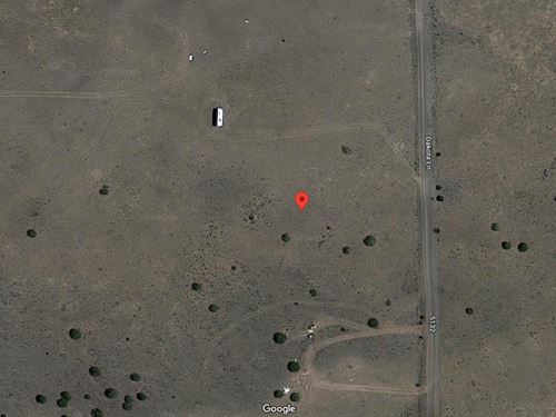 From City Stress to Desert Rest : Concho : Apache County : Arizona