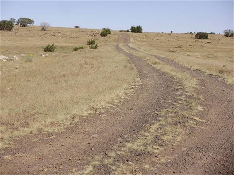 Find Your Space Just Outside Concho : Concho : Apache County : Arizona