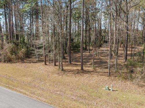 .61 Acre Lot in Winfield Estates : Pinetown : Beaufort County : North Carolina