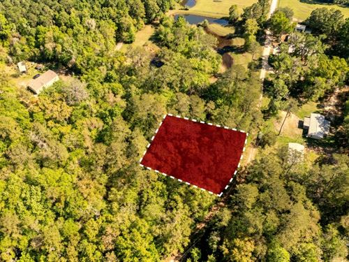 Spacious Residential Land : Ocala : Marion County : Florida