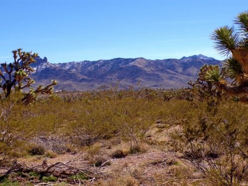 Affordable Desert Lot with Utilitie : Dolan Springs : Mohave County : Arizona