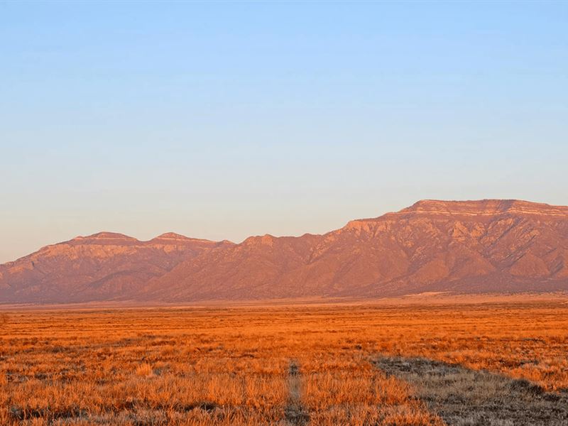Affordable 0.26 Ac New Mexico Land : Los Lunas : Valencia County : New Mexico