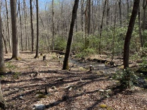Creek Woods Private : Crossville : Bledsoe County : Tennessee