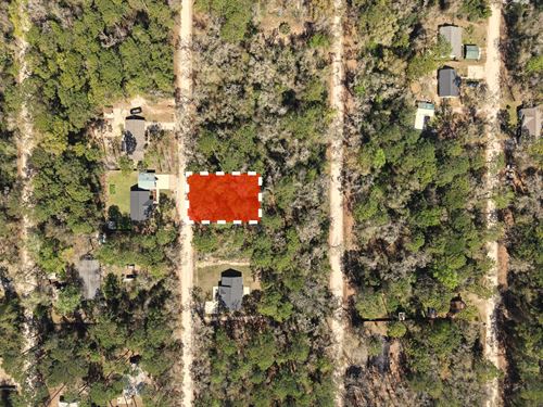 Close to Gulf Coast, Springs : Crawfordville : Wakulla County : Florida