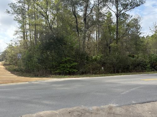 Corner Lot, Power, Near Lake : Interlachen : Putnam County : Florida