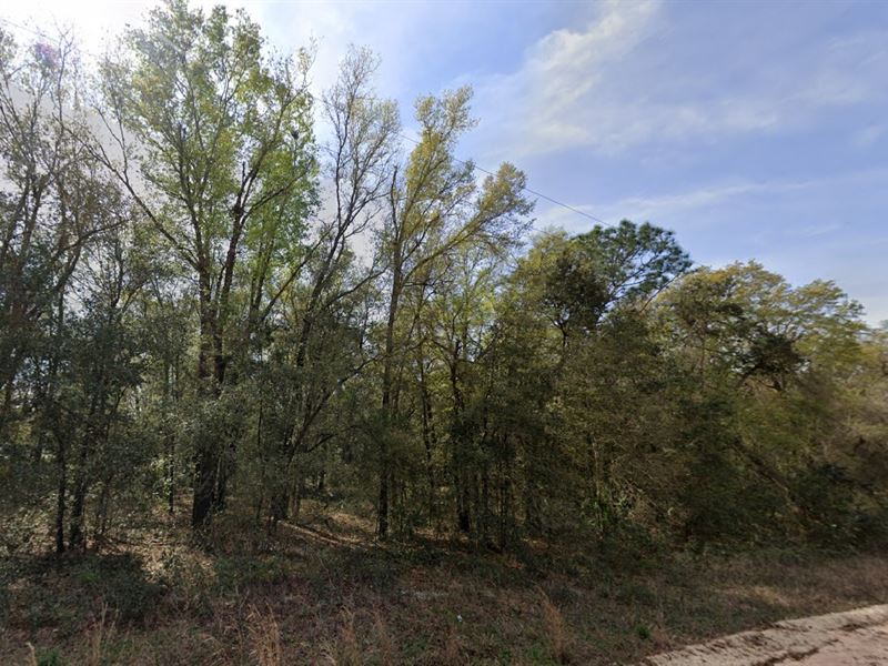 Spring Magic Property Deal $49 Down : Interlachen : Putnam County : Florida