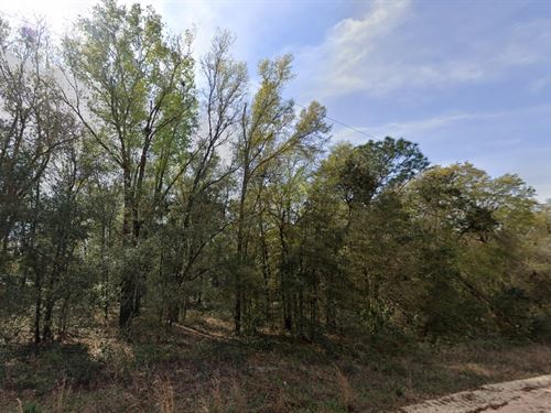 Spring Magic Property Deal $49 Down : Interlachen : Putnam County : Florida