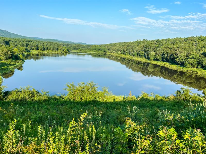 Mena Timber East : Waldron : Scott County : Arkansas