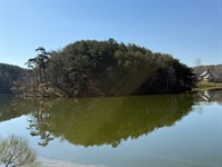 Sawtooth Branch Lake Lot : Clanton : Chilton County : Alabama