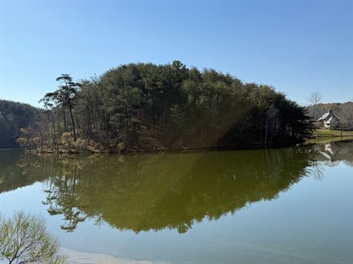 Sawtooth Branch Lake Lot : Clanton : Chilton County : Alabama