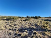 AZ Land Deal To Live Your Dream : Concho : Apache County : Arizona