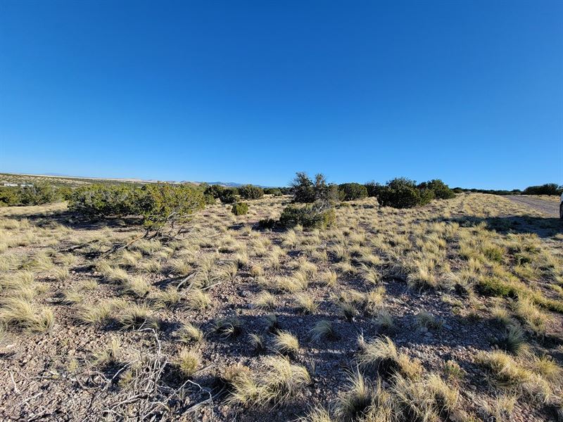 AZ Land Deal To Live Your Dream : Concho : Apache County : Arizona