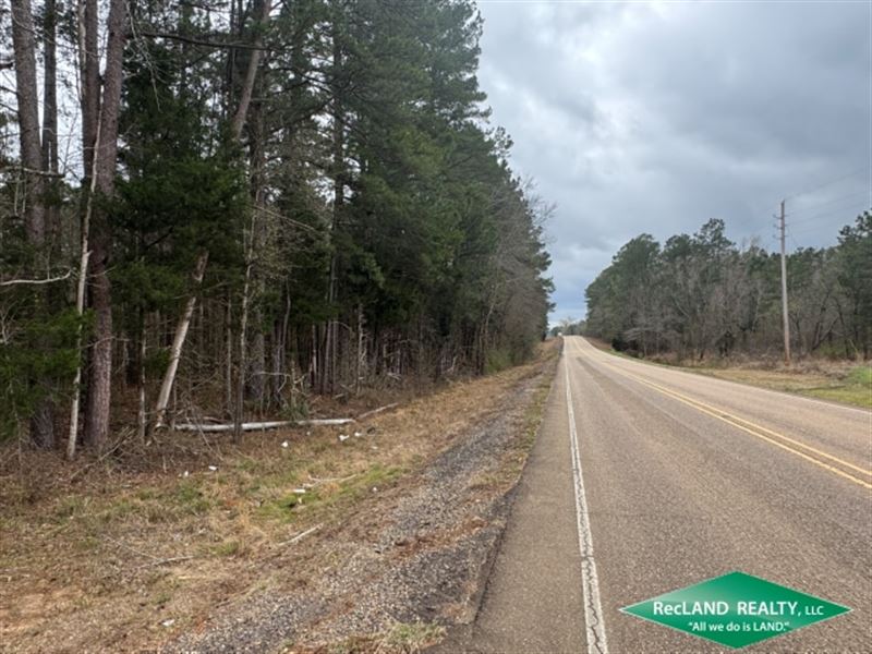 Timberland for Home Sites : Mt Olive : Bienville Parish : Louisiana