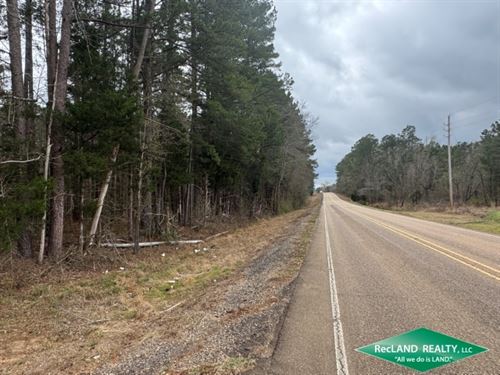 Timberland for Home Sites : Mt Olive : Bienville Parish : Louisiana