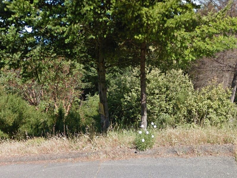 Ocean View Lot in Shelter Cove : Shelter Cove : Humboldt County : California