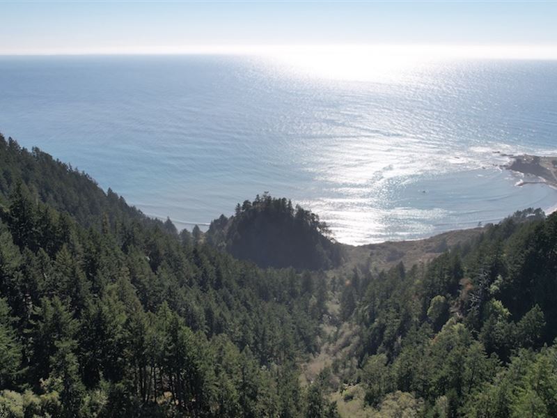 Oceanfront Community Mountain Land : Shelter Cove : Humboldt County : California