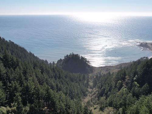 Oceanfront Community Mountain Land : Shelter Cove : Humboldt County : California