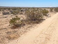 Versatile Residential Lot, Edwards : North Edwards : Kern County : California