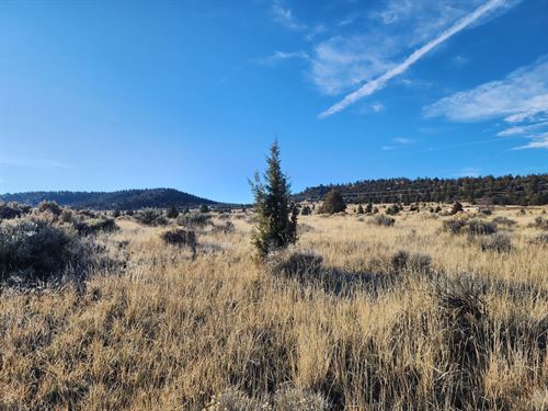 Expansive Recreational Land : Alturas : Modoc County : California
